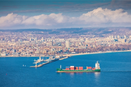Import and Export Agents: The Bridge of International Trade