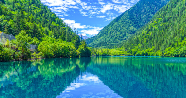 Accelerating the New Power System: A Bright Future for New Energy