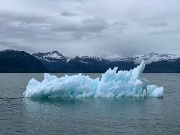 国际物流