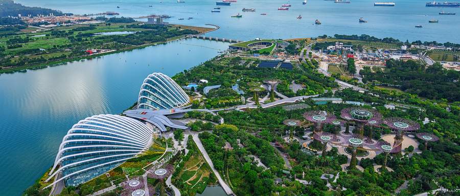 海外建厂新浪潮中，新加坡凭什么成为焦点？