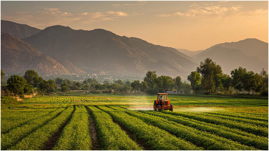 1758684247136590.png image.png