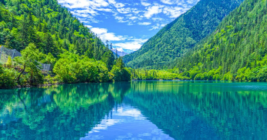 我国发布绿色贸易领域首部专项政策，全面推动外贸绿色转型