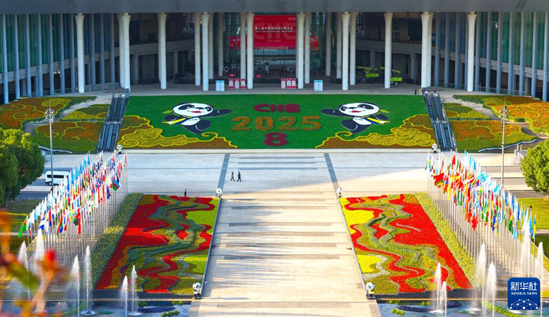 1762245011316186.png image.png