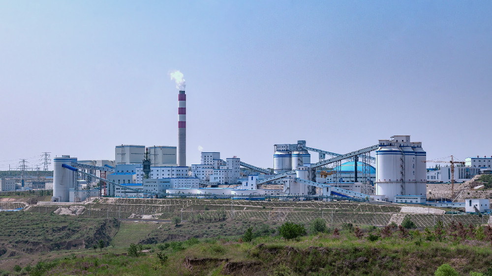 苏美达达天下平台 政策导向对不同规模企业投资建厂项目的影响差异